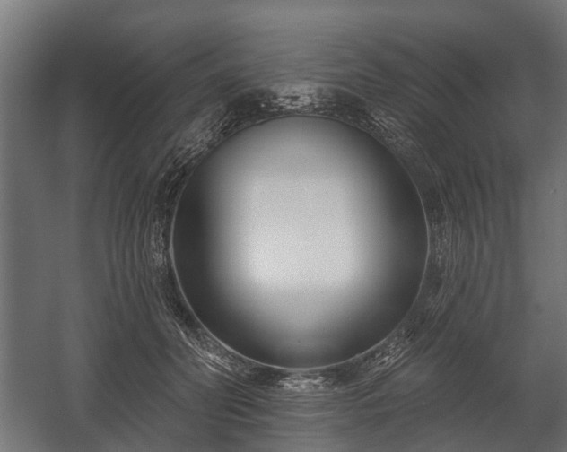 X0000058120606200509261236