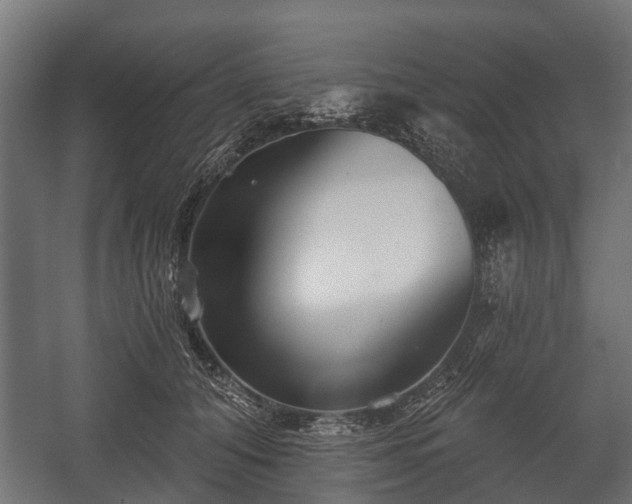 X0000058120608200509261236