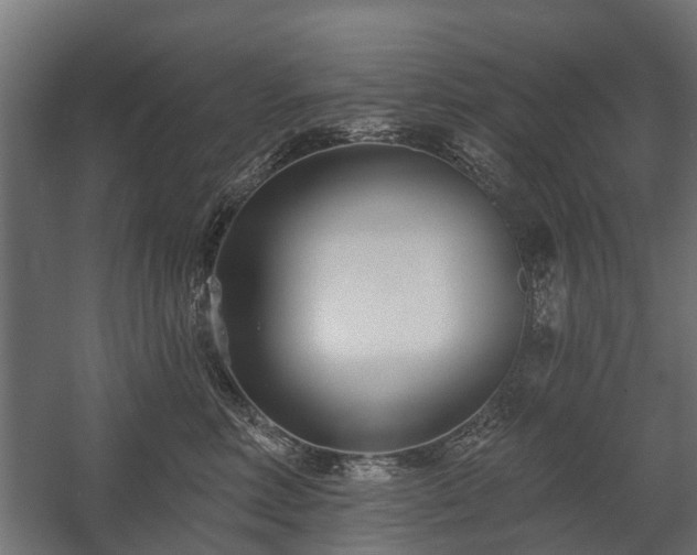 X0000058120618200509261236
