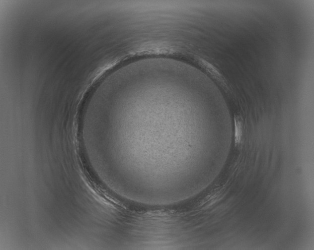 X0000058120627200509261235