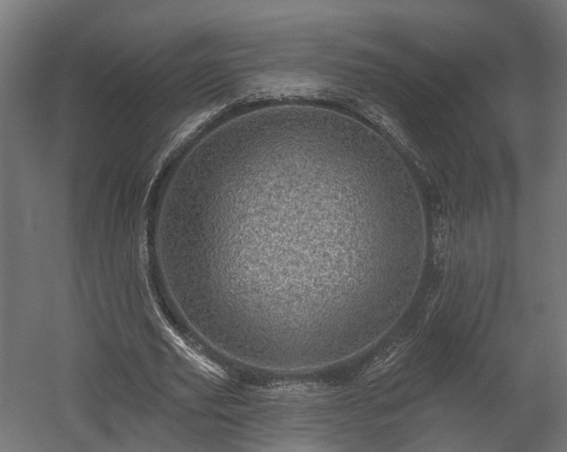 X0000058120629200509261235