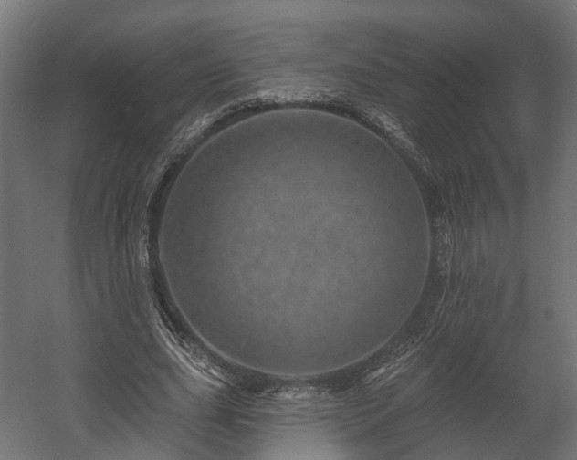 X0000058120631200509261235