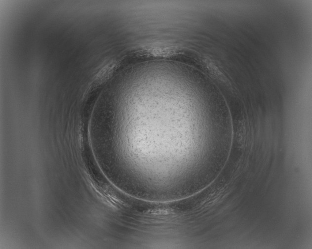 X0000058120639200509261235