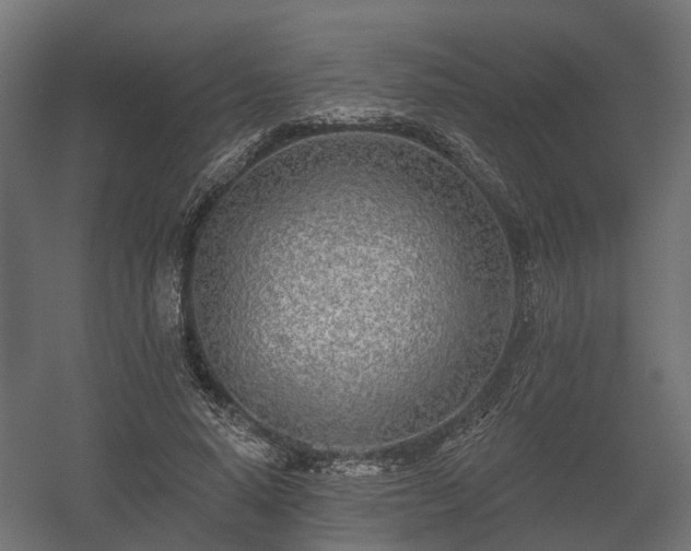 X0000058120640200509261235
