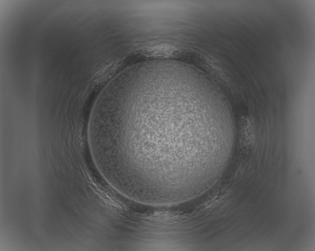 X0000058120641200509261235