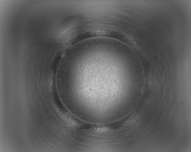 X0000058120645200509261235