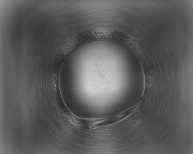 X0000058120664200509261235