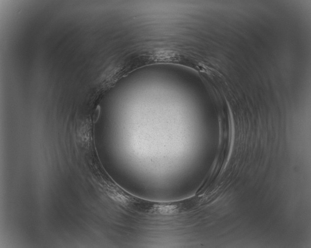 X0000058120665200509261235
