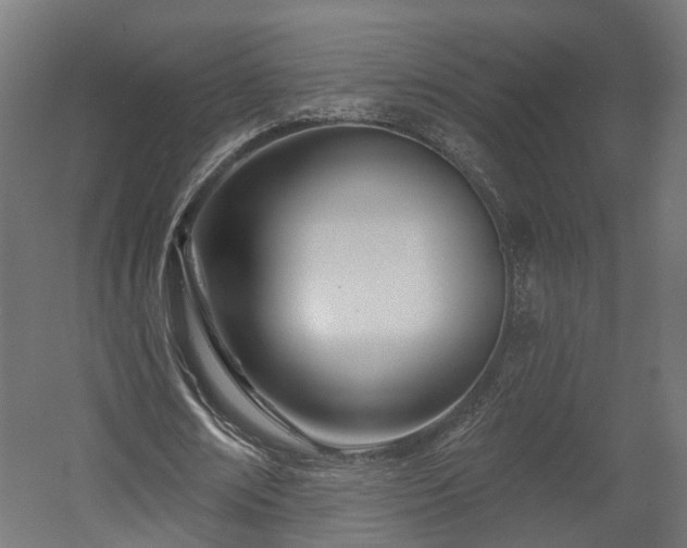 X0000058120674200509261235