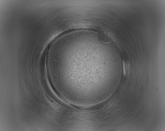 X0000058120675200509261235