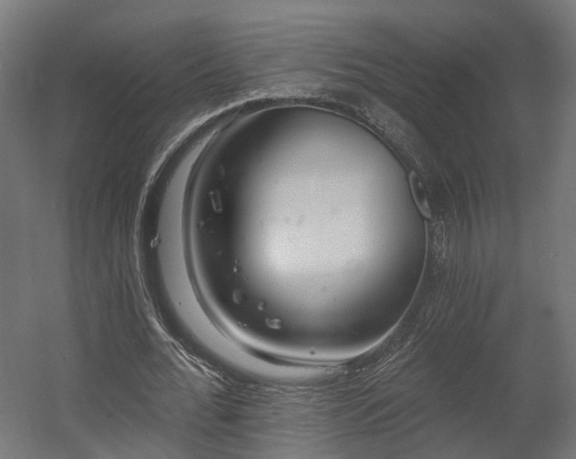 X0000058120676200509261235