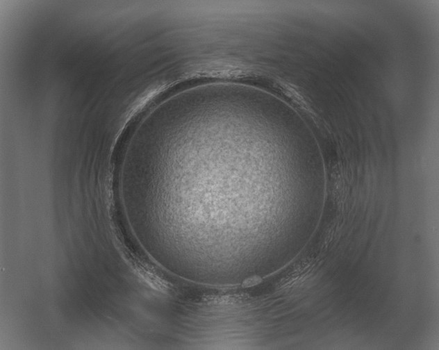 X0000058120679200509261235