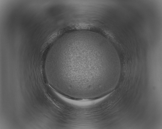 X0000058120687200509261235