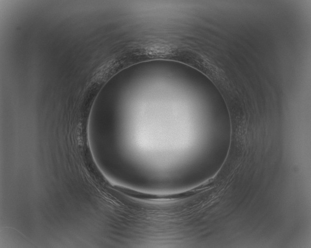 X0000058120689200509261234