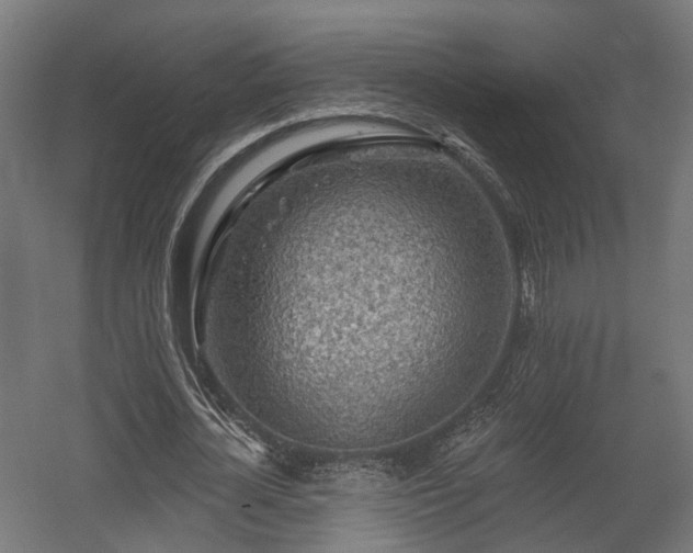X0000058120724200509261233