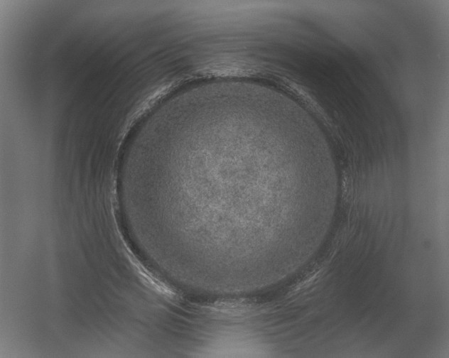X0000058120725200509261233