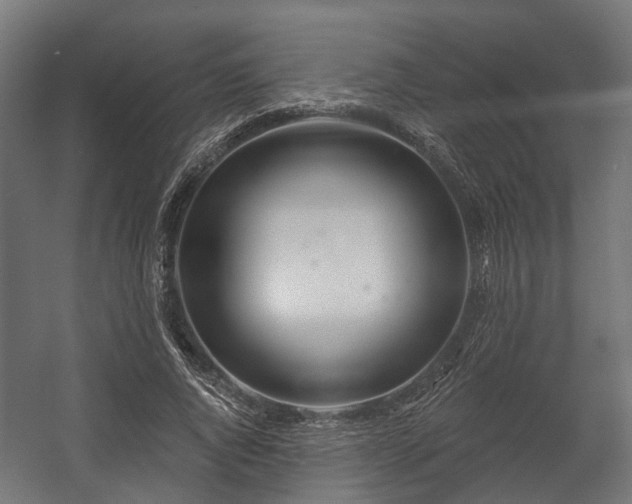 X0000058120736200509261233