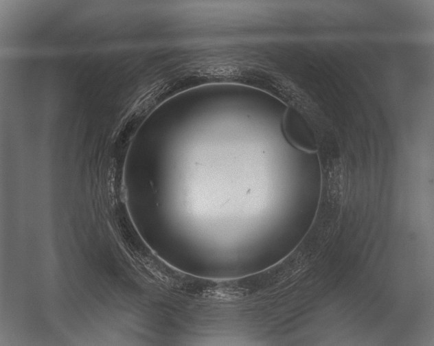 X0000058120739200509261233