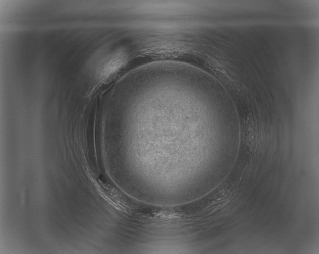 X0000058120742200509261233