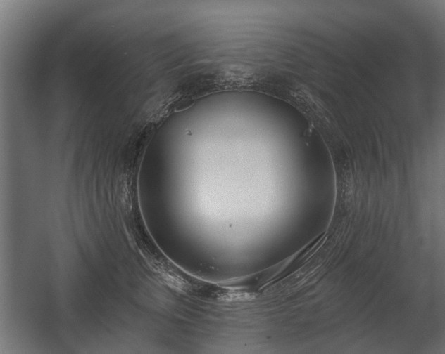 X0000058120759200509261234