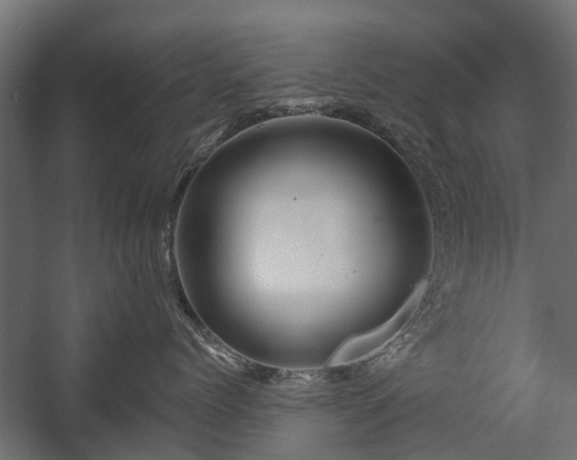 X0000058120768200509261234
