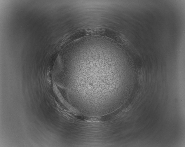 X0000058120770200509261233
