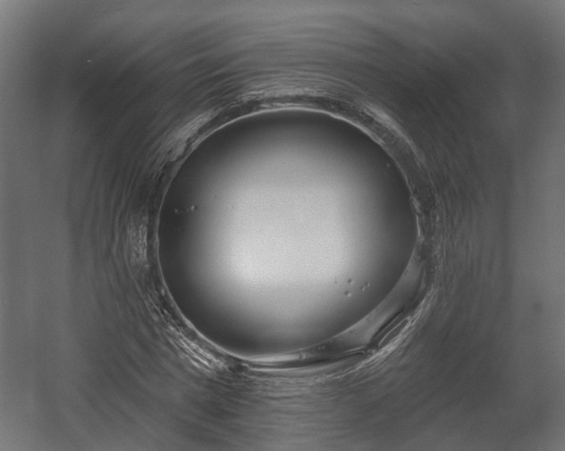 X0000058120777200509261233