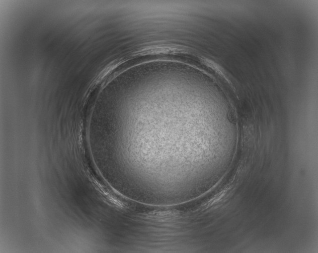 X0000058120778200509261233