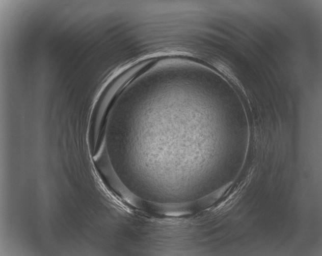 X0000058120797200509261233