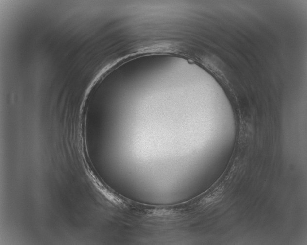 X0000058120800200509261233