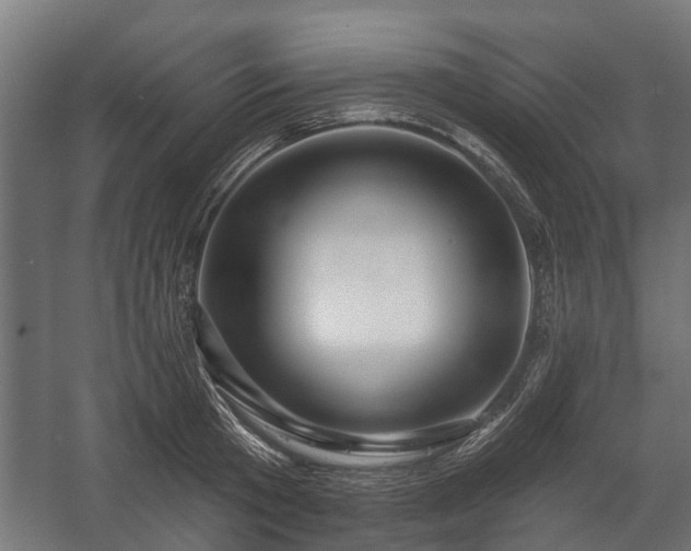 X0000058120801200509261233