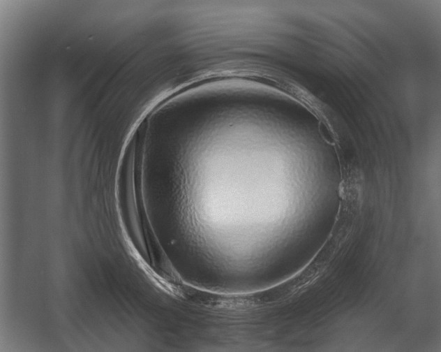 X0000058120803200509261233