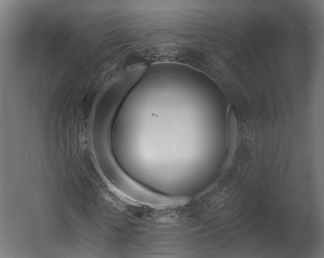 X0000058120818200509261231