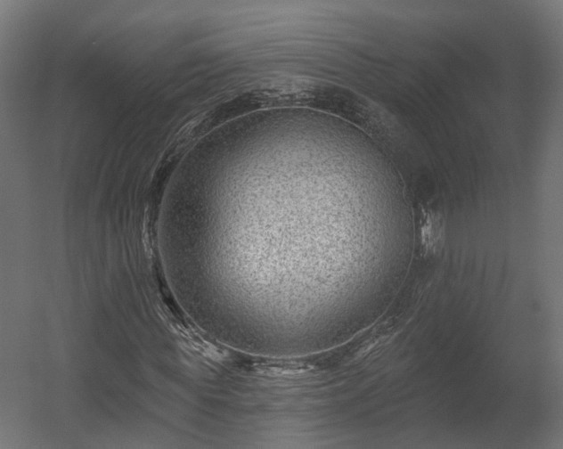 X0000058120819200509261231