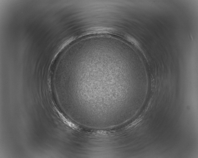 X0000058120827200509261232