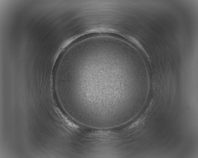 X0000058120831200509261232