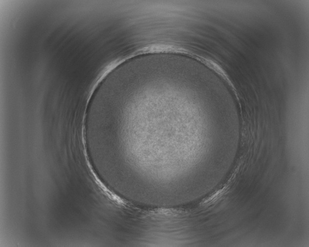 X0000058120847200509261232