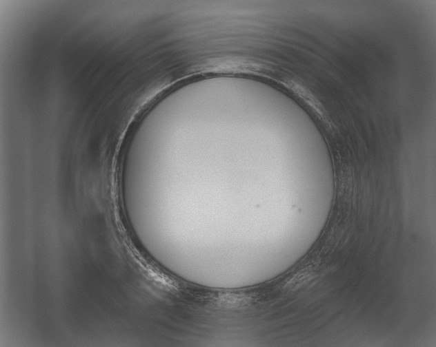 X0000058120848200509261232
