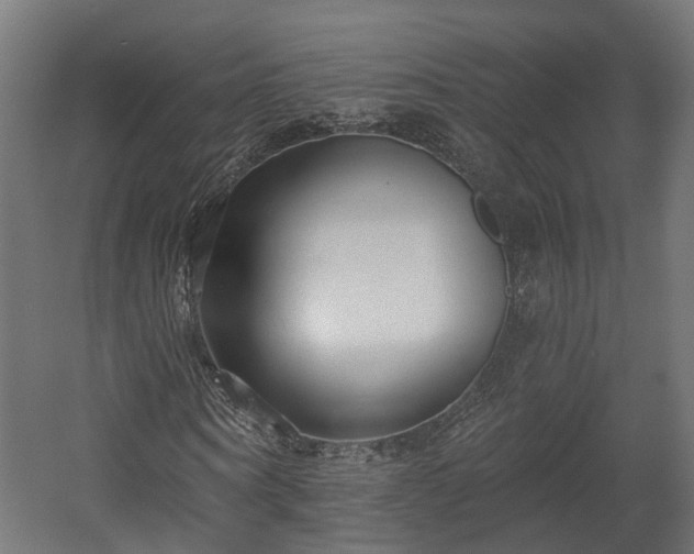 X0000058120866200509261231