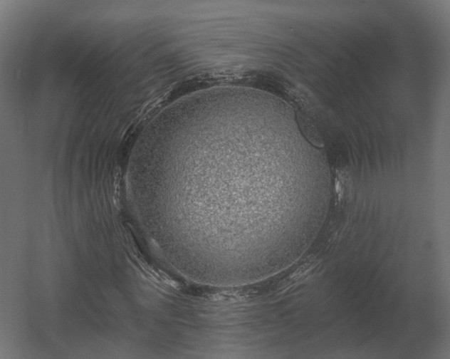 X0000058120867200509261231