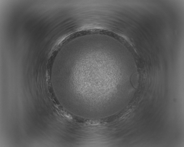 X0000058120871200509261231