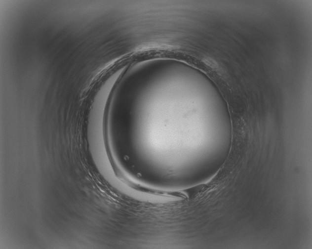 X0000058120872200509261231