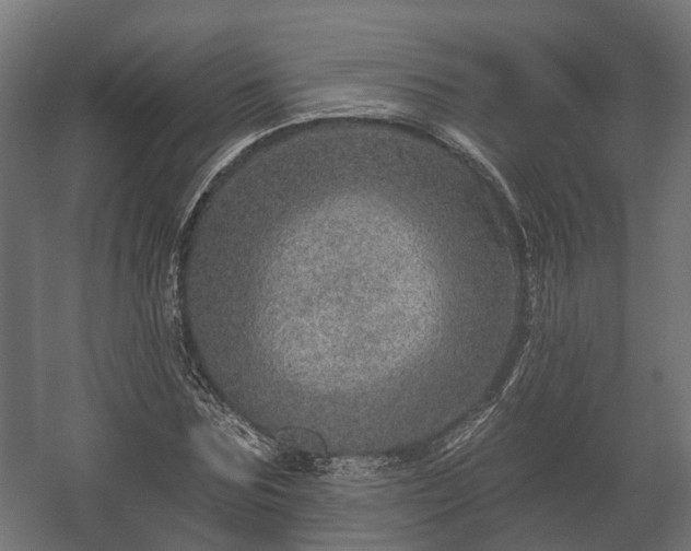 X0000058120875200509261231