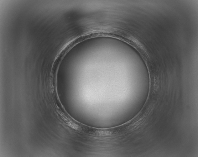 X0000058120878200509261231