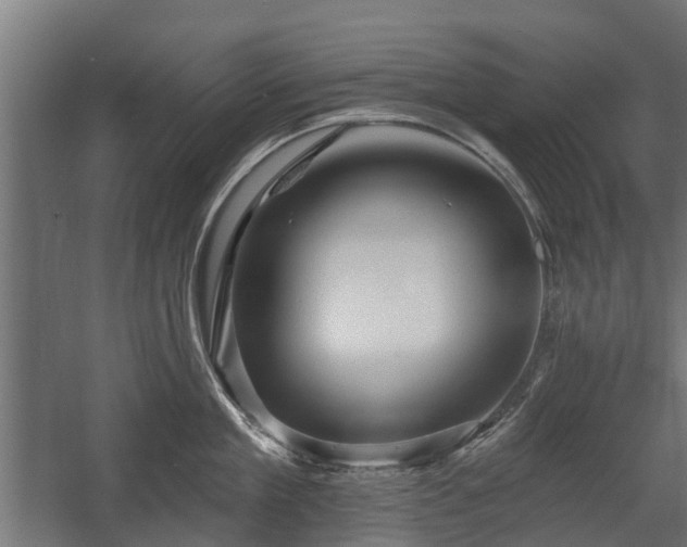 X0000058120909200509261231