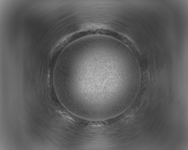 X0000058120919200509261230