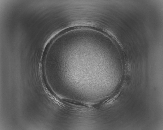 X0000058120928200509261230