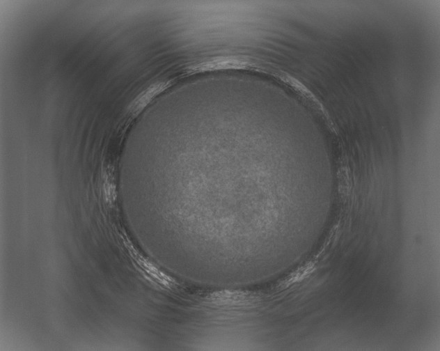 X0000058120929200509261230