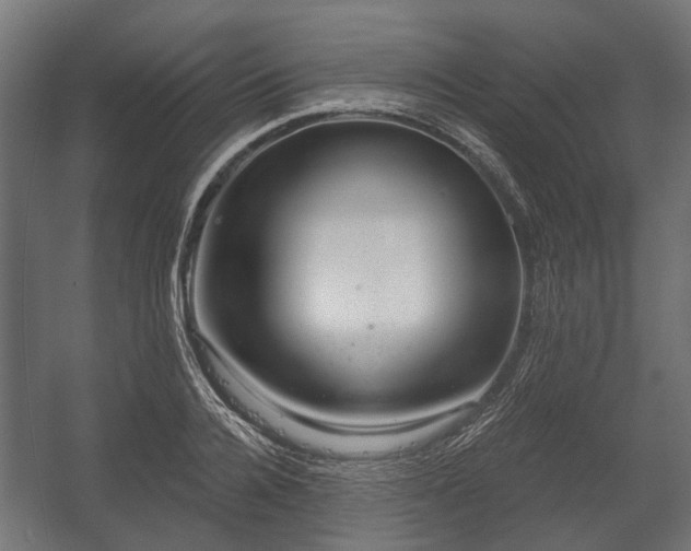 X0000058120936200509261230