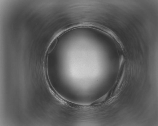 X0000058120958200509261231